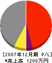 田島組 損益計算書 2007年12月期