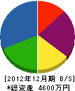 田之上電気 貸借対照表 2012年12月期
