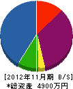戸林塗装工業 貸借対照表 2012年11月期