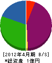 柳田工業 貸借対照表 2012年4月期