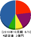 若林工務店 貸借対照表 2010年10月期