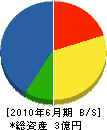 大川建設 貸借対照表 2010年6月期