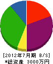 菅生建設 貸借対照表 2012年7月期