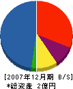 岩崎建設 貸借対照表 2007年12月期