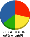 志田工業 貸借対照表 2012年6月期