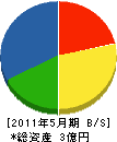 庄子電気 貸借対照表 2011年5月期