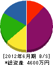 太田ペイント塗装 貸借対照表 2012年6月期