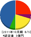木野村 貸借対照表 2011年10月期