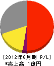勝崎電気工業 損益計算書 2012年6月期