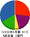中田建築 貸借対照表 2008年6月期