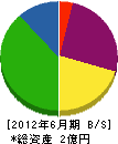 武田建設興業 貸借対照表 2012年6月期