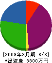 渡辺塗装 貸借対照表 2009年3月期