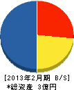 新江 貸借対照表 2013年2月期