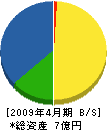 大澤建設 貸借対照表 2009年4月期