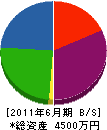 フジモト施設 貸借対照表 2011年6月期