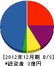 坂本土木 貸借対照表 2012年12月期