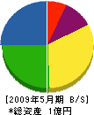 広島外装 貸借対照表 2009年5月期
