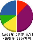 堀水電気 貸借対照表 2009年12月期