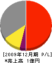 秀嶋建設 損益計算書 2009年12月期