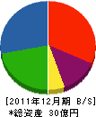 ツルヤマテクノス 貸借対照表 2011年12月期
