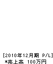 徳川口組 損益計算書 2010年12月期