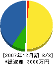 奥村組 貸借対照表 2007年12月期