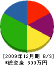 永井塗装 貸借対照表 2009年12月期