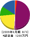 小瀬 貸借対照表 2009年6月期
