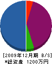 大島技巧 貸借対照表 2009年12月期