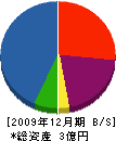 日成プラント 貸借対照表 2009年12月期