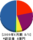 矢野工業 貸借対照表 2009年6月期