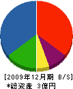 中鋼産業 貸借対照表 2009年12月期