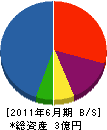 ヤシマ建設 貸借対照表 2011年6月期