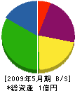 浅川組 貸借対照表 2009年5月期
