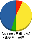 上村開発 貸借対照表 2011年6月期