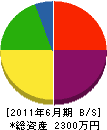 柴田組 貸借対照表 2011年6月期