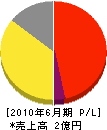 東京サービス 損益計算書 2010年6月期