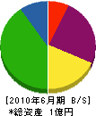 新栄土木 貸借対照表 2010年6月期