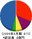 嶋田機設工業 貸借対照表 2009年9月期