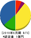 朝日電機 貸借対照表 2010年6月期
