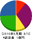 神田建設 貸借対照表 2010年6月期