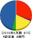 沖縄ニッタン 貸借対照表 2010年6月期