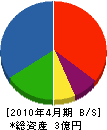 三栄開発 貸借対照表 2010年4月期