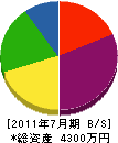 瑞井 貸借対照表 2011年7月期
