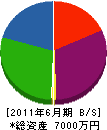 永井電機 貸借対照表 2011年6月期