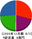 山照電工 貸借対照表 2009年12月期