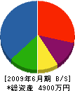 タムラ工務店 貸借対照表 2009年6月期