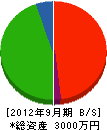 三栄電気商会 貸借対照表 2012年9月期