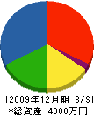 小林土木 貸借対照表 2009年12月期