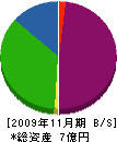 中部商事 貸借対照表 2009年11月期